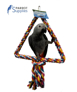 Parrot Swings